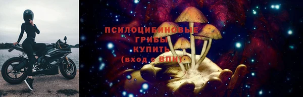 герыч Ладушкин