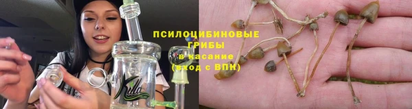шишки Лиски