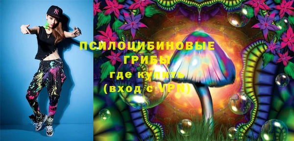 трава Лабытнанги