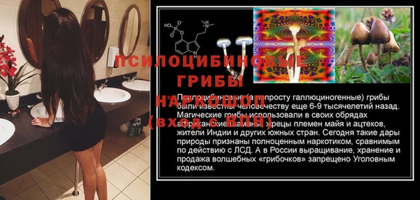 трава Лабытнанги