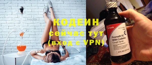 трава Лабытнанги