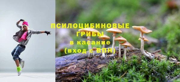 герыч Ладушкин