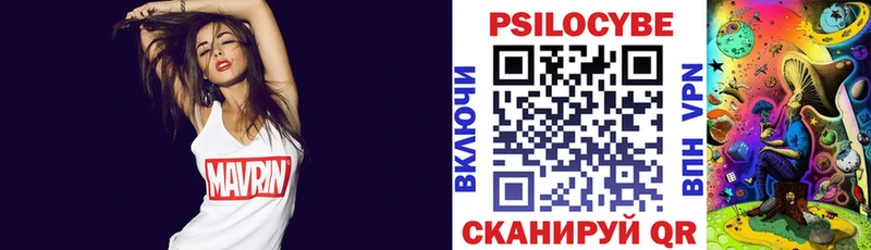 блэк спрут онион  Элиста  Галлюциногенные грибы Cubensis  где продают наркотики 
