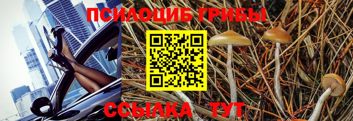 Псилоцибиновые грибы MAGIC MUSHROOMS  Вход с VPN  Элиста  Псилоцибиновые грибы Psilocybe 