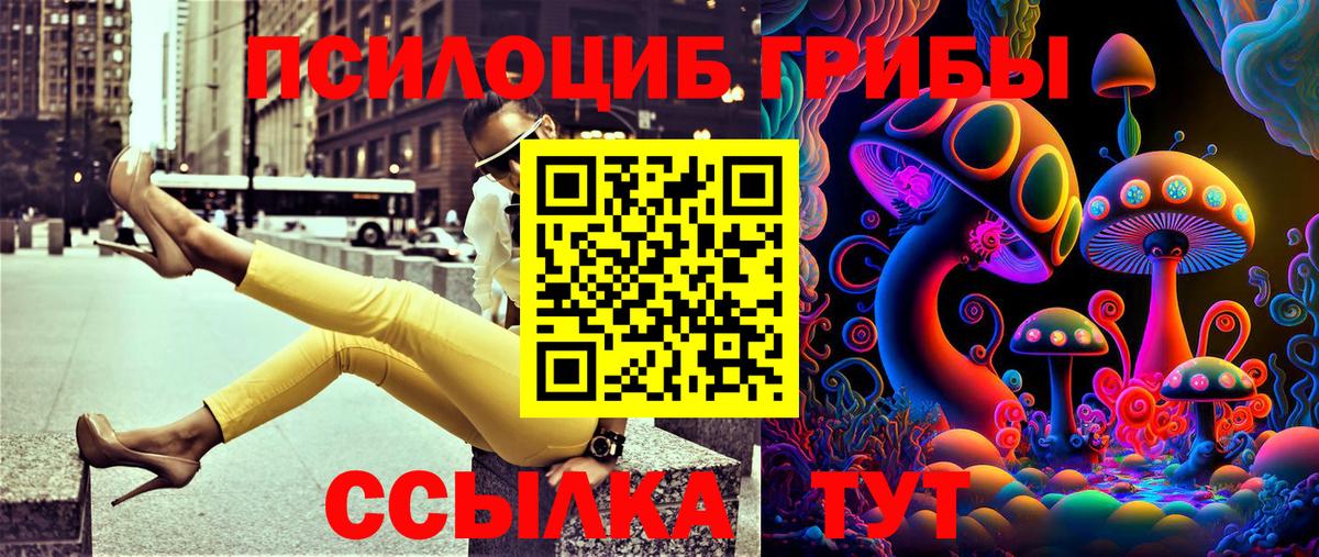 Псилоцибиновые грибы Magic Shrooms Элиста