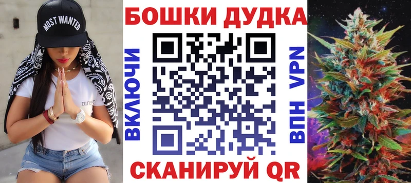 как найти наркотики  Элиста  OMG tor  Шишки марихуана OG Kush 